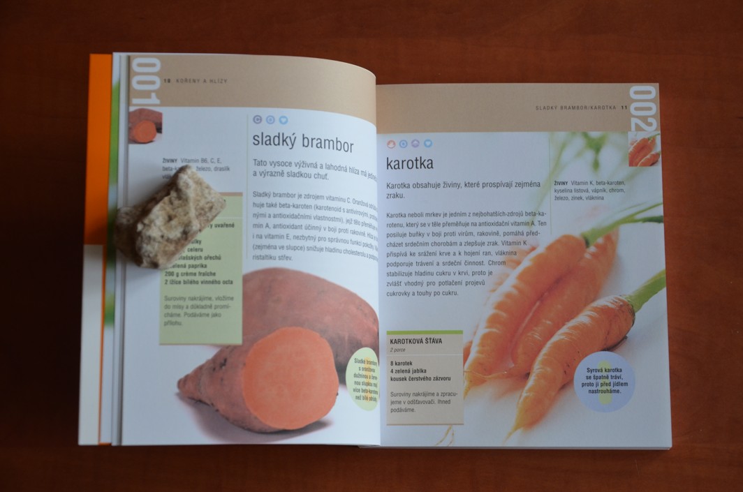 100 NEJ POTRAVIN PRO IMUNITU - Jak si chránit zdraví (2007) jako nová