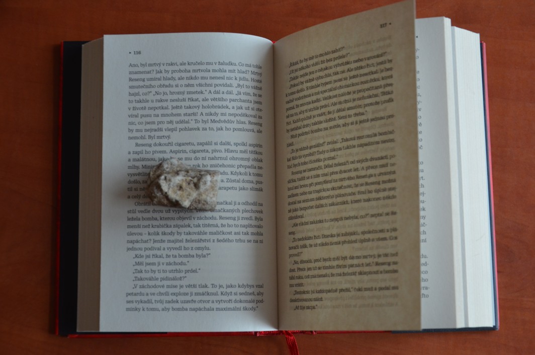 KNIHOVNA NÁJEMNÝCH VRAHŮ Kim Onsu (2019)