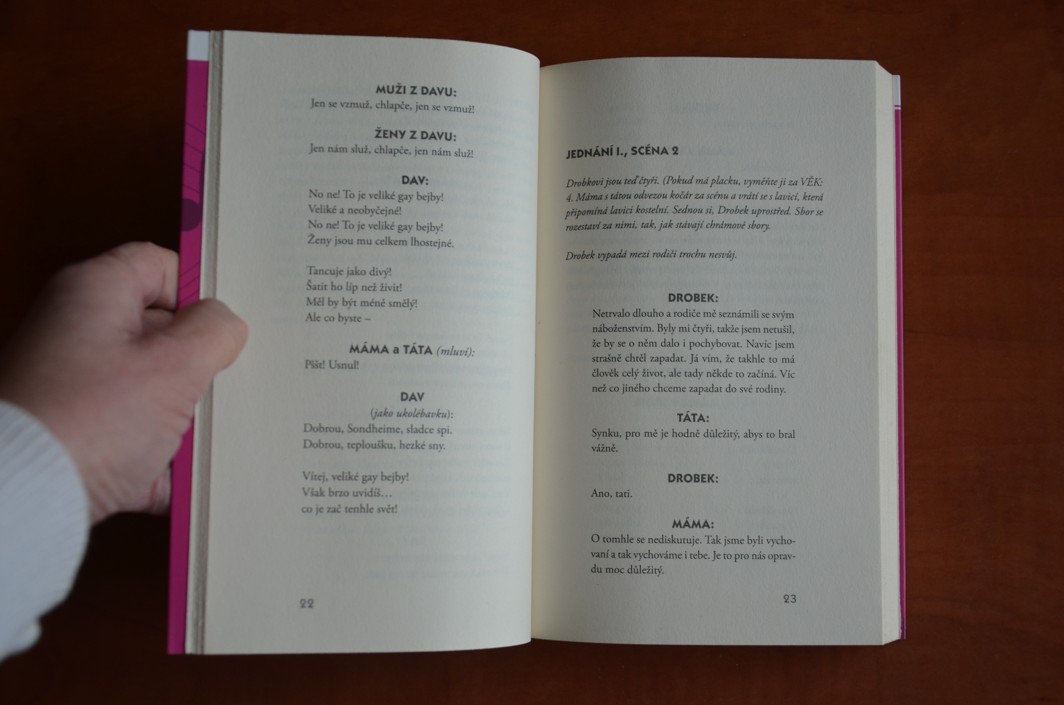 DRŽ MĚ PEVNĚ David Levithan (2017)