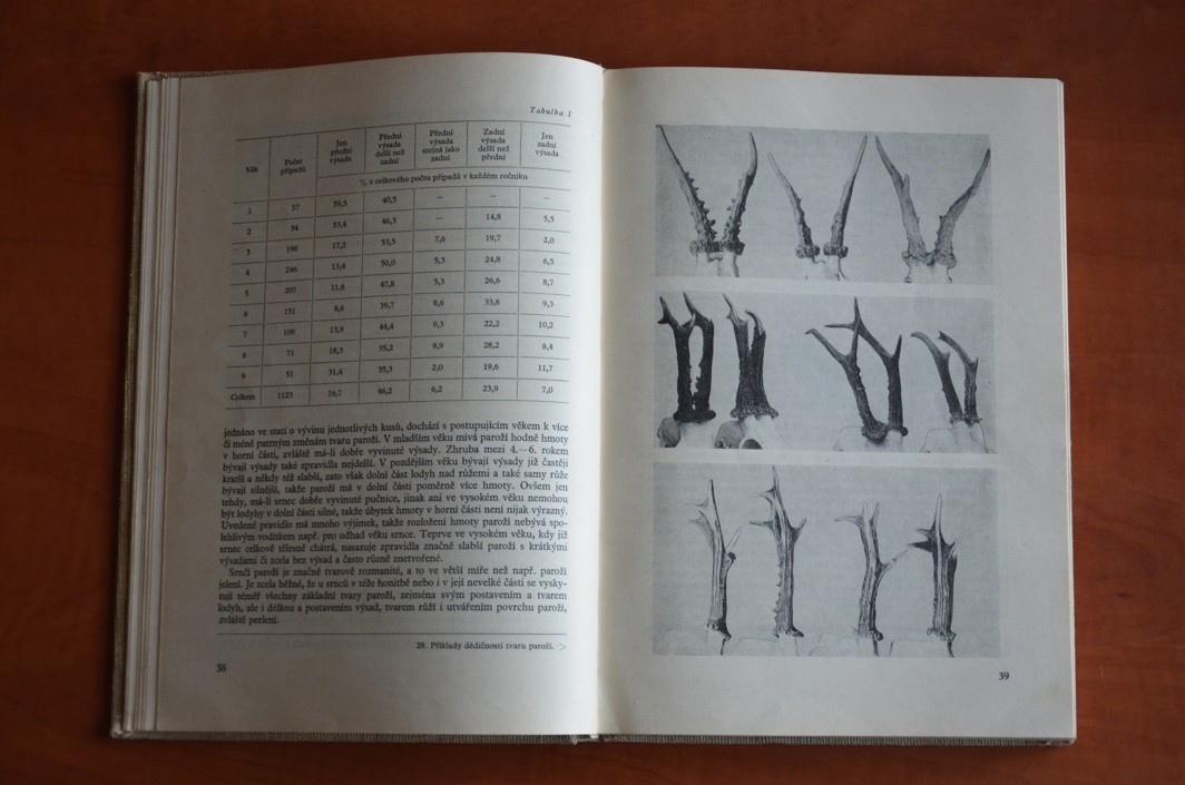 SRNČÍ ZVĚŘ Josef Nečas (1975)