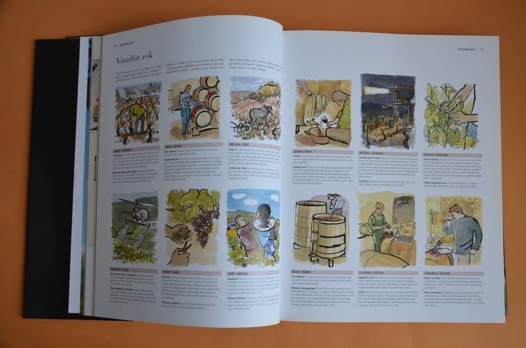 SVĚTOVÝ ATLAS VÍNA (2008)