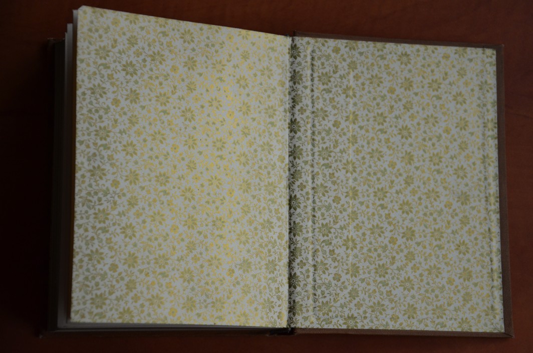 Almanach ČESKÉ AKADEMIE XXI. 1911