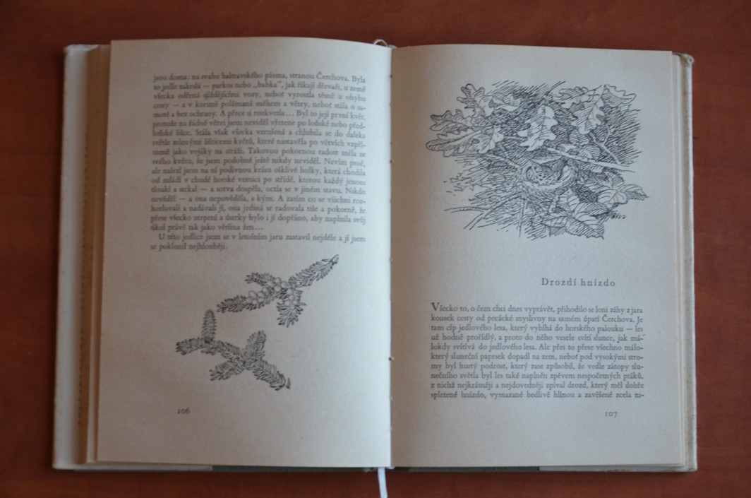 Bažantnice a jiné obrázky z přírody