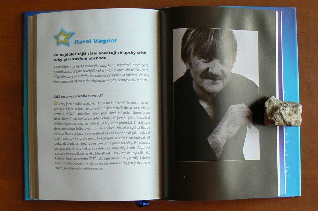 Cesta k vrcholu - Ze zákulisí medií a showbyznysu