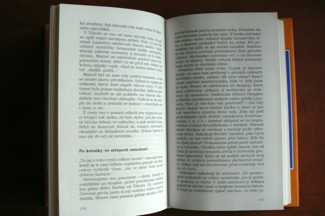 Vášeň pro broskve