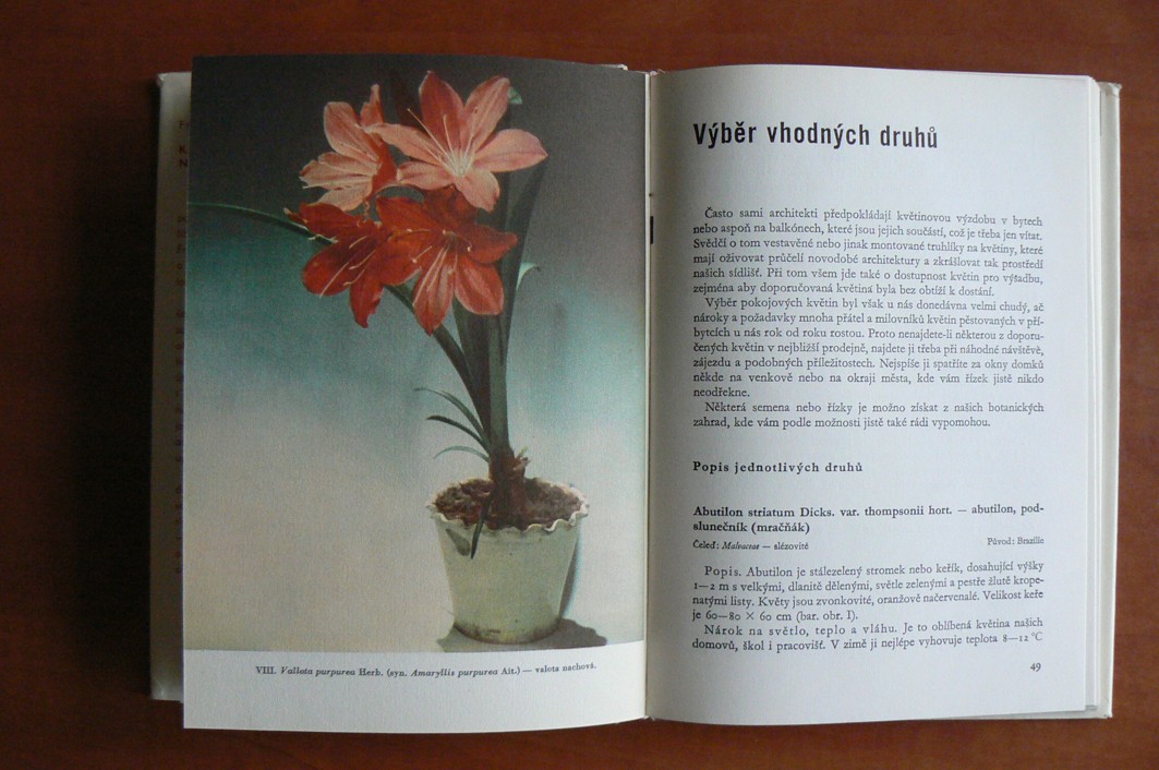 Květiny našich domovů