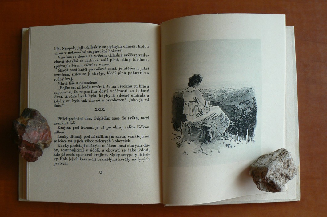 POKOJNÝ DŮM (krásná vazba)