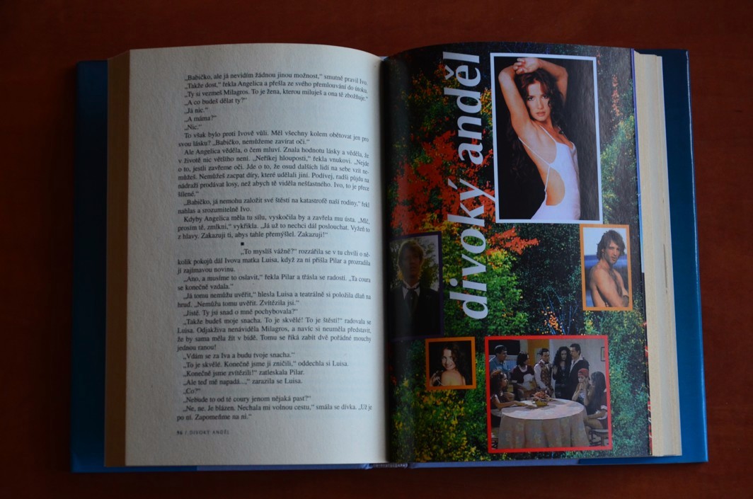 DIVOKÝ ANDĚL I. a II. díl - Enrique Torres, Manuel Rodrigo Aranzabal