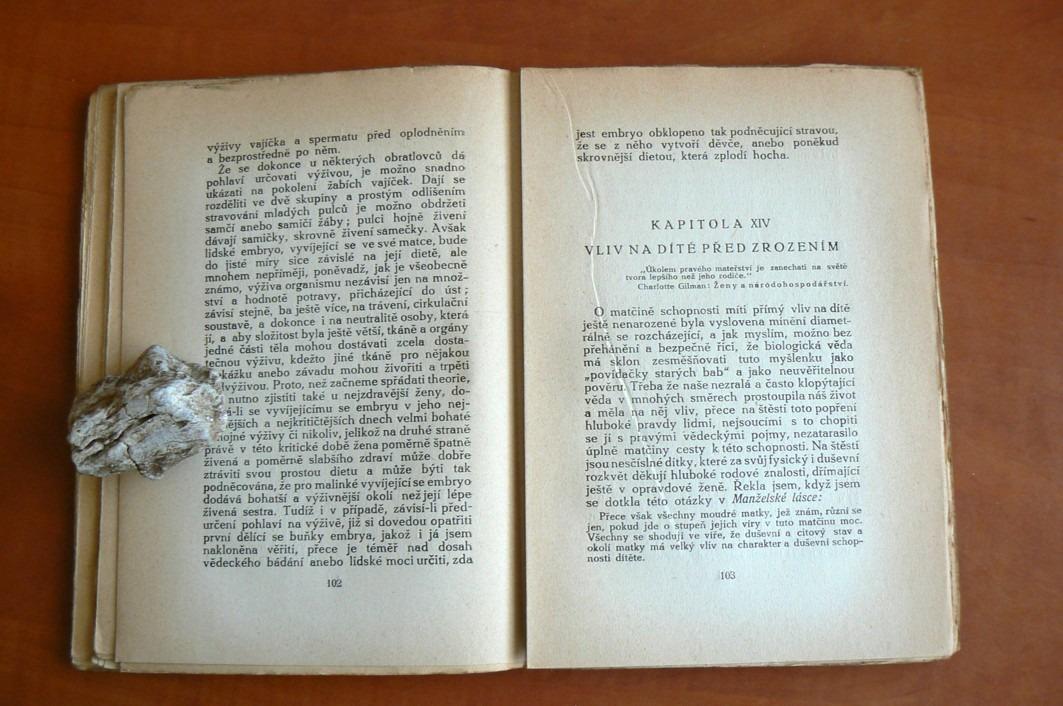 ZÁŘIVÉ MATEŘSTVÍ Marie Carmichael Stopes (1924)