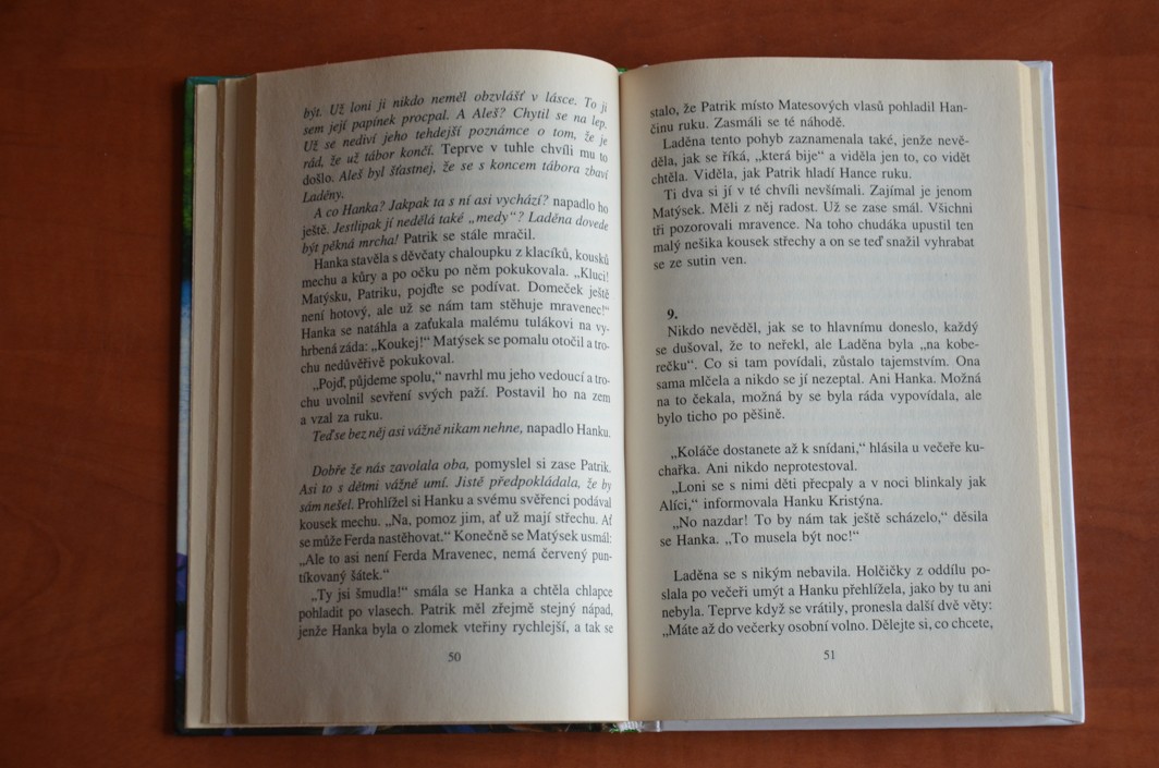 HANKA NA TÁBOŘE Květa Šímová (2001)