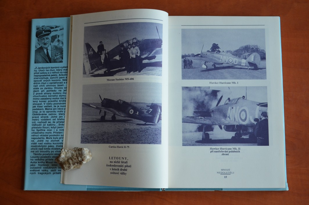 MNOZÍ NEDOLETĚLI František Loucký (1989)