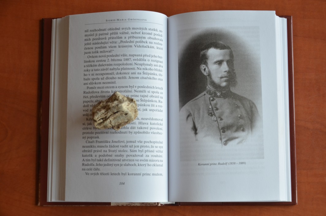 VRAŽDY V RODĚ HABSBURSKÉM Sigrid-Maria Grössing (2003)