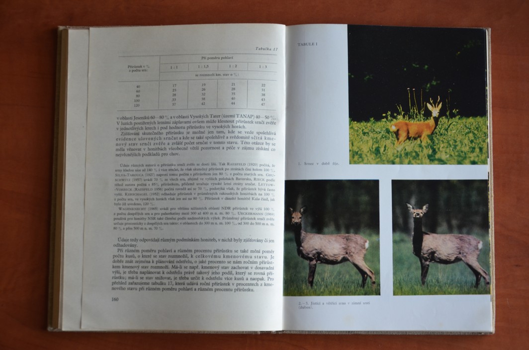 SRNČÍ ZVĚŘ Josef Nečas (1975)