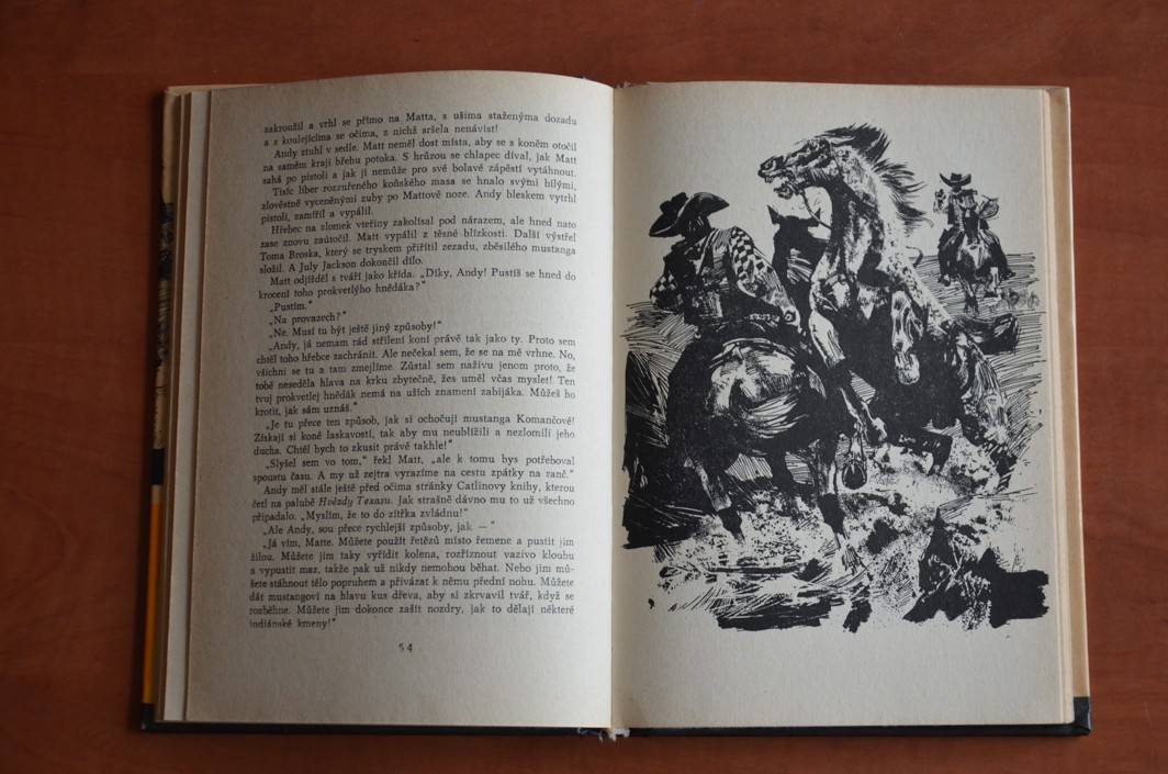 LOVCI MUSTANGŮ - KOD svazek 123 - Lee McGiffinová (1972)