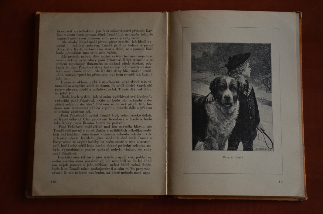 Mladost - radost neboli Dítky naše naděje