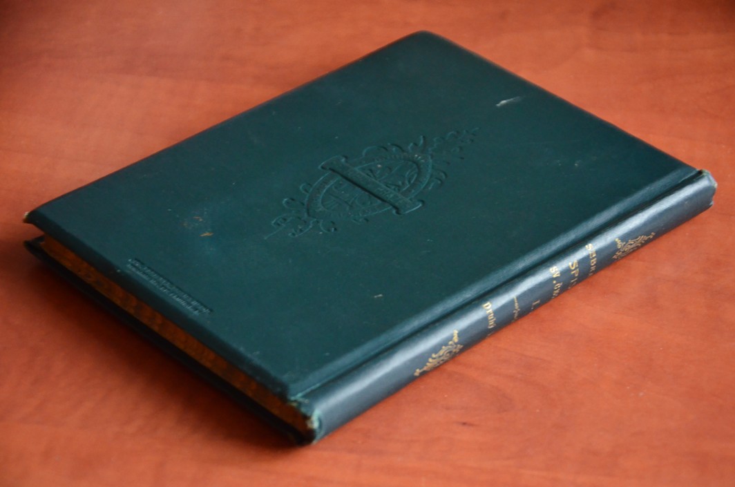 Druhý květ (r. vydání 1899)