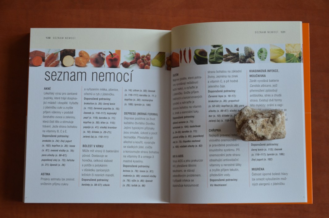 100 NEJ POTRAVIN PRO IMUNITU - Jak si chránit zdraví (2007) jako nová