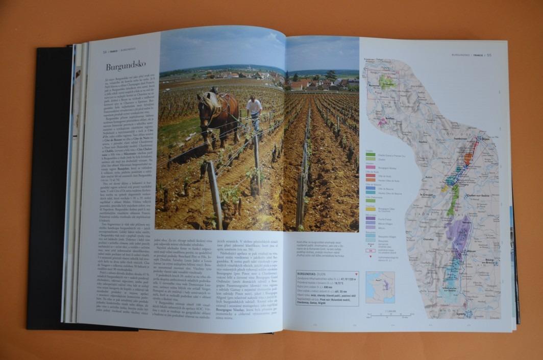 SVĚTOVÝ ATLAS VÍNA (2008)