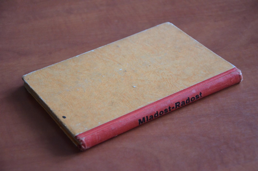 Mladost - radost neboli Dítky naše naděje