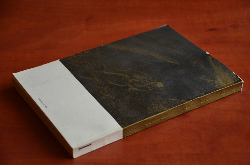 LIBICE knížecí hradisko X. věku