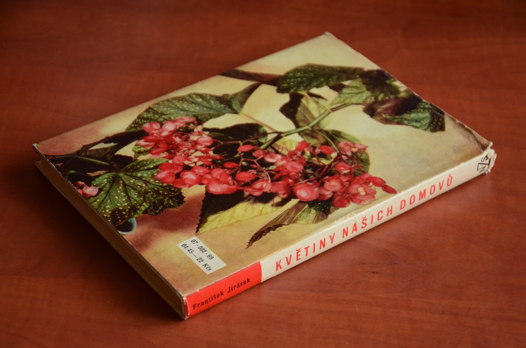 Květiny našich domovů