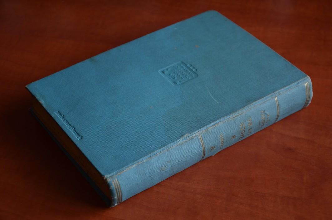 Ve lví stopě - Sirotci (r. vyd. 1926)