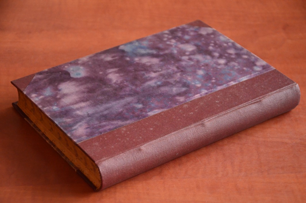 DOTAZ NĚMECKÝCH POSLANCŮ O CHOVÁNÍ SE ČESKÉHO NÁRODA ZA VÁLKY I. a II. díl