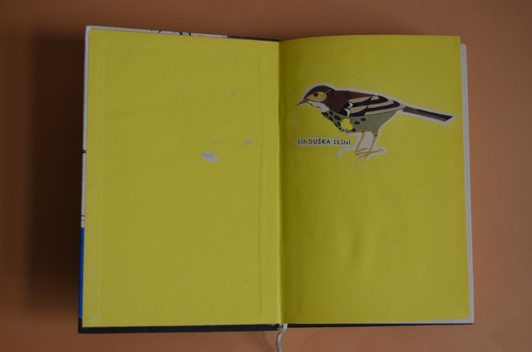 OSTROV TISÍCE DRAHOKAMŮ - KOD svazek 74 - Mirko Pašek (1965)