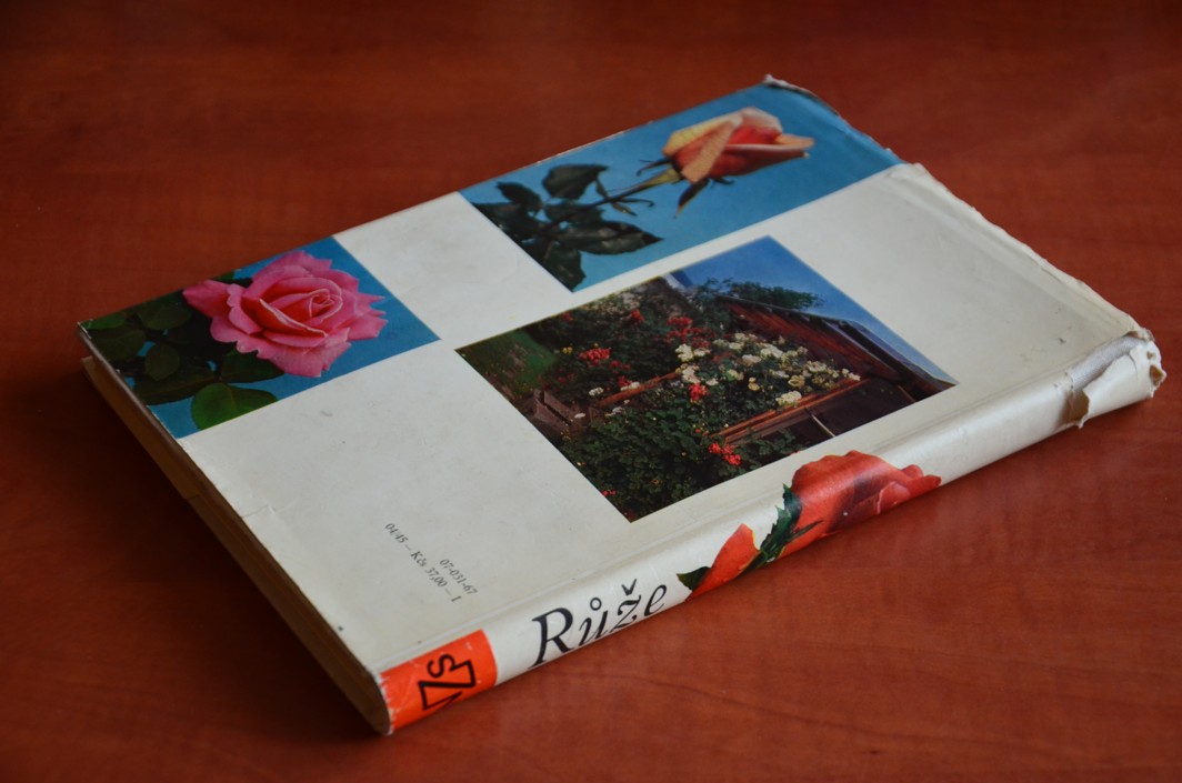 Růže (1967)