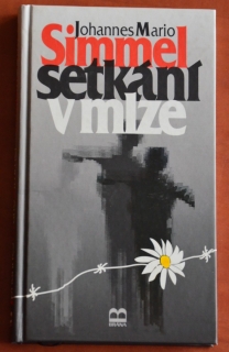 Setkání v mlze
